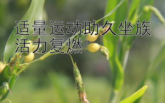 适量运动助久坐族活力复燃