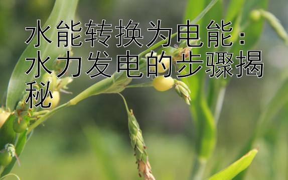 水能转换为电能：水力发电的步骤揭秘