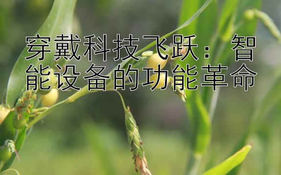 穿戴科技飞跃：智能设备的功能革命