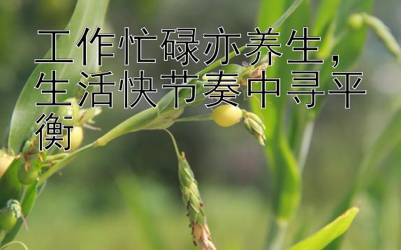 工作忙碌亦养生，生活快节奏中寻平衡