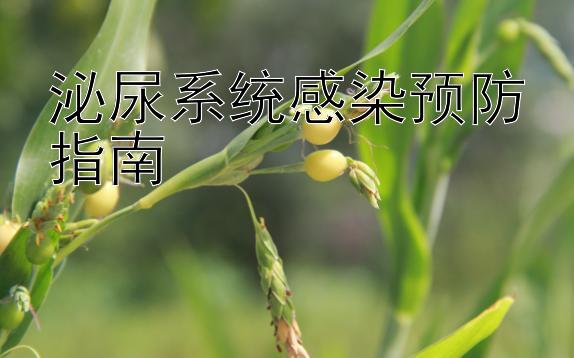 泌尿系统感染预防指南