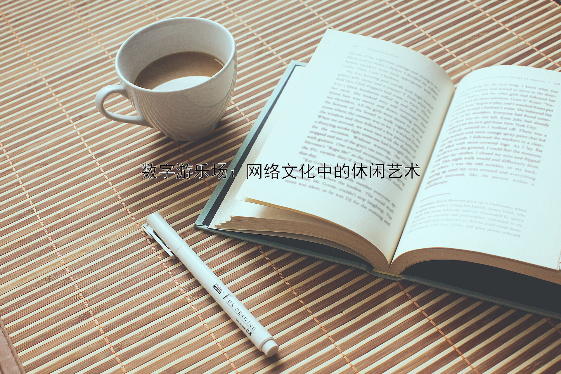 数字游乐场：网络文化中的休闲艺术