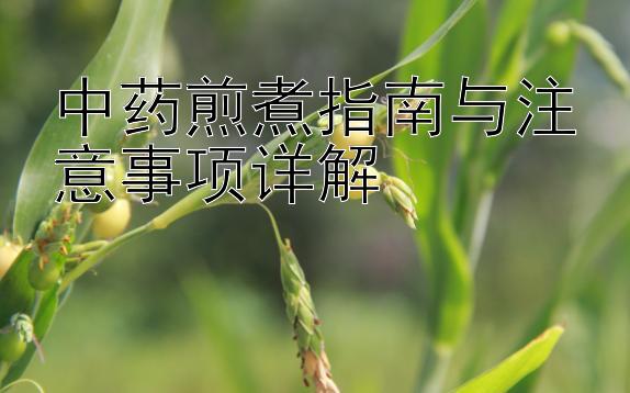 中药煎煮指南与注意事项详解