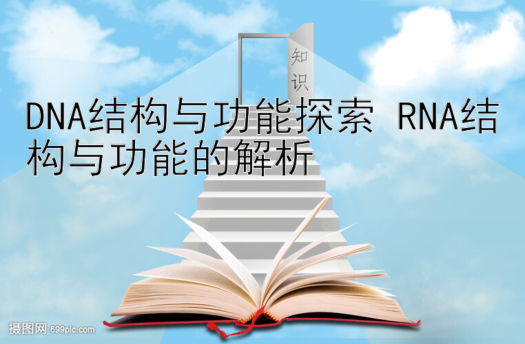 DNA结构与功能探索 RNA结构与功能的解析