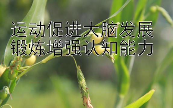 运动促进大脑发展 锻炼增强认知能力