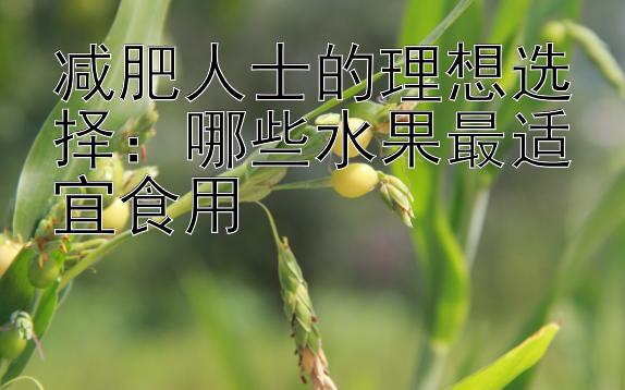 减肥人士的理想选择：哪些水果最适宜食用