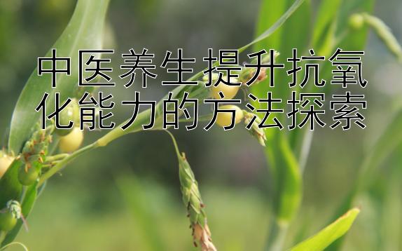 中医养生提升抗氧化能力的方法探索