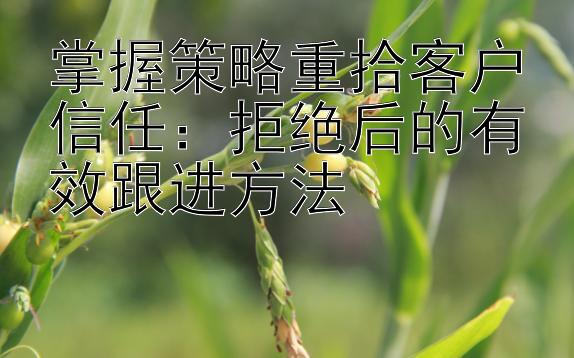 掌握策略重拾客户信任：拒绝后的有效跟进方法