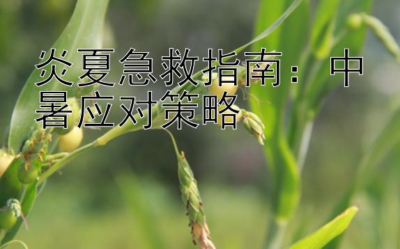 炎夏急救指南：中暑应对策略