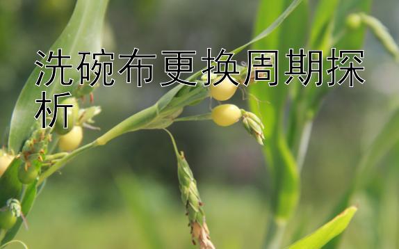 大发app最新注册邀请码   洗碗布更换周期探析