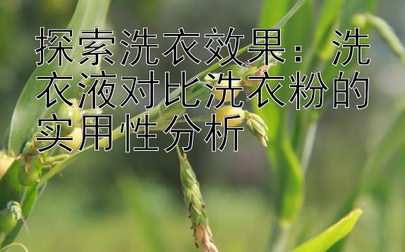 探索洗衣效果：洗衣液对比洗衣粉的实用性分析