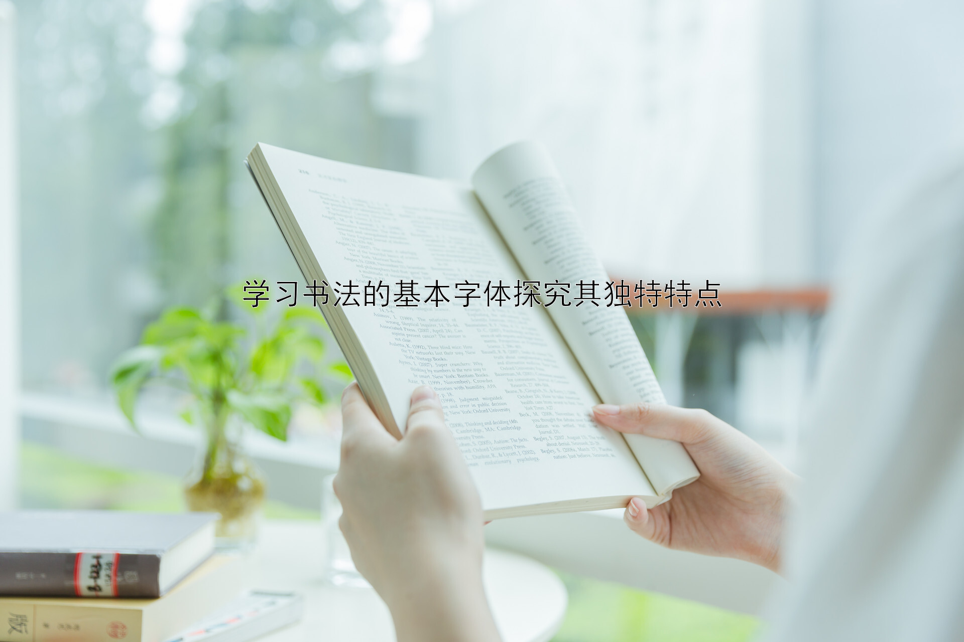 学习书法的基本字体探究其独特特点