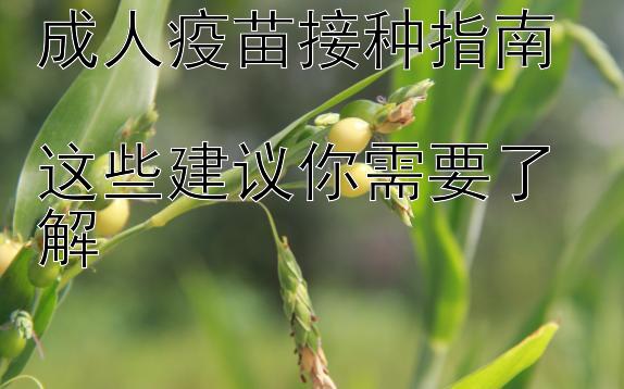 成人疫苗接种指南  
这些建议你需要了解