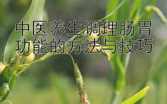 中医养生调理肠胃功能的方法与技巧