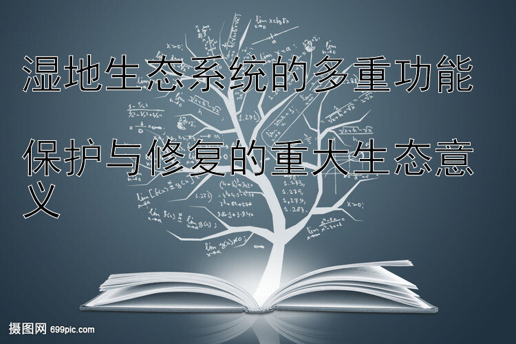 湿地生态系统的多重功能  
保护与修复的重大生态意义